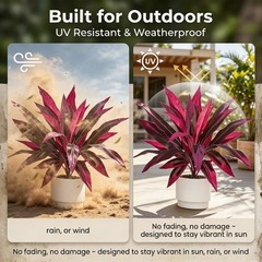 2PC UV Resistant Artificial Boston Fern & Dragon’s Blood Tree, Home Garden Decor