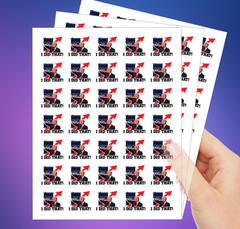 100 PCs “I did that” Trump Sticker Pack – Trump Meme – Trump Decals – 1.2 x 1″