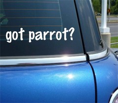 got parrot? CAR DECAL BUMPER STICKER VINYL FUNNY JOKE WINDOW