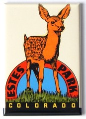 Estes Park Colorado FRIDGE MAGNET travel souvenir