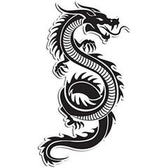 Dragon Sticker Pack of 3 2.5” Vinyl Decal Waterproof Laptop Car Phone Cool