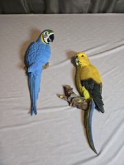 3D resin wall plaques-Blue-and-yellow Macaw and a Budgie Tropical , New In Box.