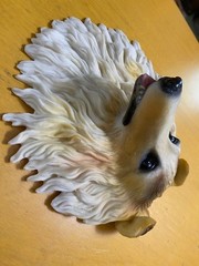 Collie Dog Head Plaque Sculpture Wall Hanging 6.5″ Realistic 3-D Effect Gift