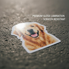 Custom Pet Photo Sticker Dog Cat Decal Waterproof Vinyl Proof Before Print