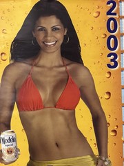 MODELO Cerveza Sexy Latin Girl 2003 Beer Poster 19 X 27 in sexy Calendar