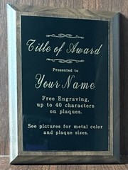 8×10 Custom Plaque Award. (see Pictures For Metal Color Options)