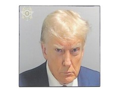 President Donald Trump Mug Shot Mugshot Sign Shelf Sitter Wall Art Decor 5″ x 5″