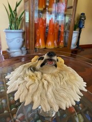 Collie Dog Head Plaque Sculpture Wall Hanging 6.5″ Realistic 3-D Effect Gift