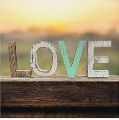 Distressed Farmhouse Rustic 6” Wood LOVE Letters Home Decor