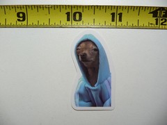 FUNNY DOG SMALL STICKER DECAL AX165 GAND CHIHUAHUA SIZE FUN HI PET