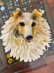 Collie Dog Head Plaque Sculpture Wall Hanging 6.5″ Realistic 3-D Effect Gift
