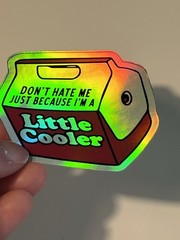 Don’t Hate Me Little Cooler 3 Inch Funny Humor Holographic Waterproof Sticker