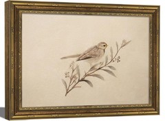 Vintage Gold Framed Wall Art,Sparrow Bird Print,Rustic Farmhouse Home Decor f…