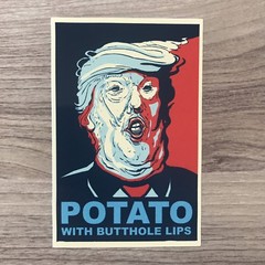 Dump Trump Donald Trump Vinyl Sticker Set – Free Shipping