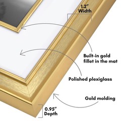 Picture Frame set set 16×20 In Gold decorative Inner Mat display