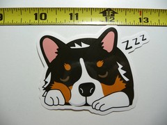 SLEEPING CORGI SMALL STICKER DECAL DOG BREED PET BEST FRIEND LAPTOP