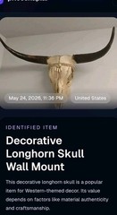 Decorative Beige Brown Longhorn Skull Wall Mounted Western Decor for Adults