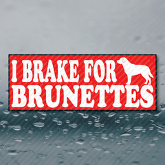 I BRAKE FOR BRUNETTES Labrador Retriever Funny Meme Prank Gag Joke Sticker 8×3