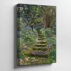 Moss Covered Stone Steps With Bluebells In Lush Woodland Nature Canvas Print
