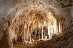 CARLSBAD CAVERNS GLOSSY POSTER PICTURE PHOTO new mexico cave limestone park 664