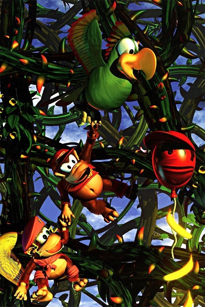 Donkey Kong Country 2 Super Console Box Game Poster print 11″x17″ inches