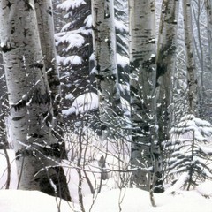 36W”x24H” A WALK IN THE WOODS by STEPHEN LYMAN – DEER MOOSE CHOICES of CANVAS
